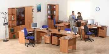 Мебель для персонала Альфа 61 Ольха в Бурмистрово - burmistrovo.mebel54.com | фото